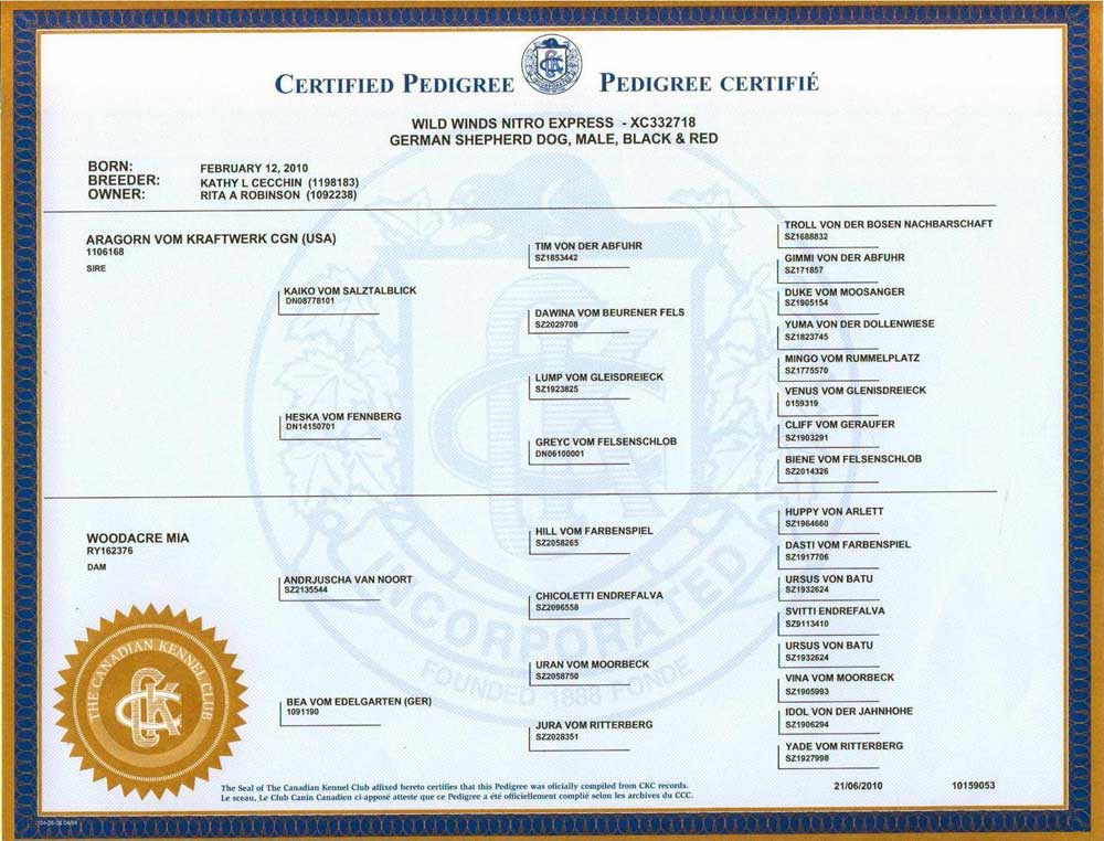 German Shepherd Pedigree Certificate