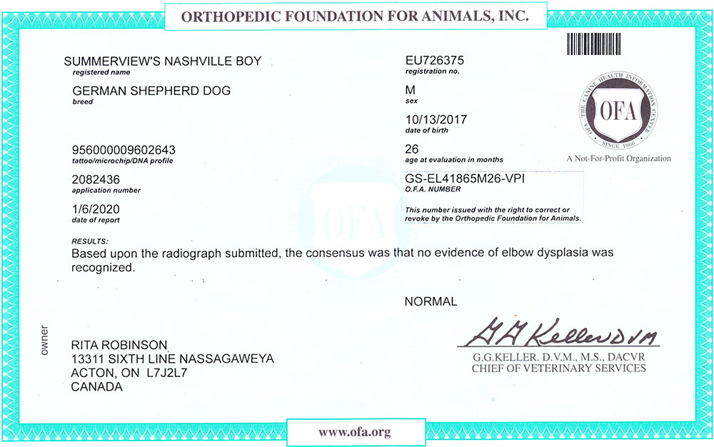 German Shepherd Pedigree Certificate